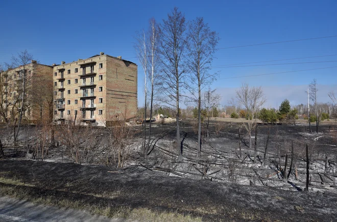 Požar je že uničil okolico naselja Poliske na zaprtem območju Černobila. FOTO: Stringer/Reuters