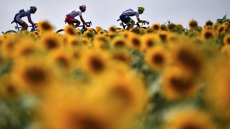 Fotografija: Dirki po Franciji zaradi pandemije ne cvetijo rožice. FOTO: AFP