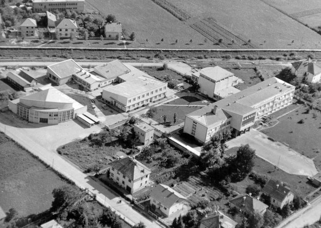 Inštitut Jožef Stefan je financiranje pridobil že leta 1950 (na sliki zgradbe inštituta po odprtju leta 1953). FOTO: Fotoarhiv Inštitut Jožef Stefan
