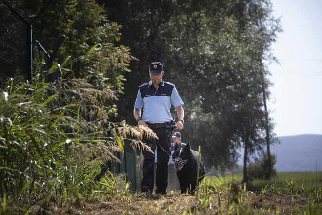 Patrulje slovenskih policistov na reki Kolpi FOTO: Voranc Vogel