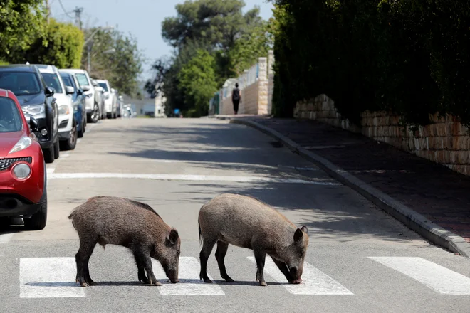 FOTO: Ronen Zvulun/Reuters