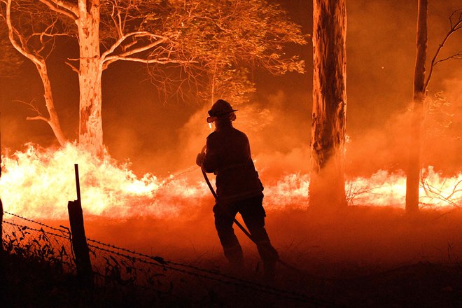 Obsežni in dolgotrajni požari v Avstraliji so povzročili veliko škode. Še posebno škode v naravi ne bo mogoče hitro odpraviti. FOTO: Saeed Khan/AFP