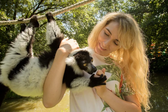 Redni del oskrbe je trening in socializacija živali, ki zmanjša stres tako njim kot njihovim oskrbnikom in veterinarjem pri ravnanju z njimi. FOTO: Živalski vrt Ljubljana