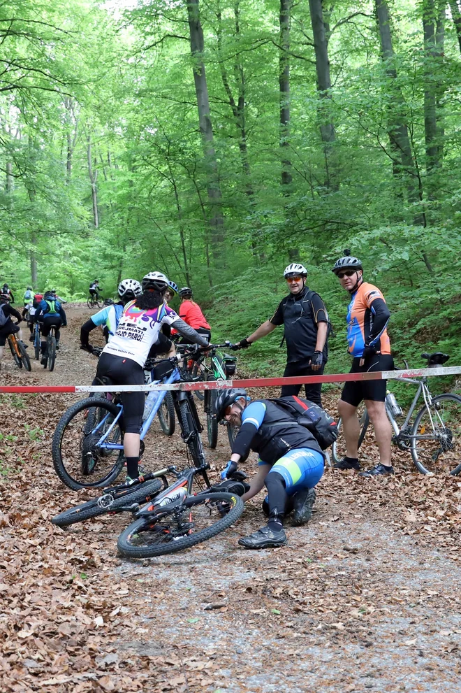 Gozdarska avtomobilska zapora. FOTO: Dušan Dundek