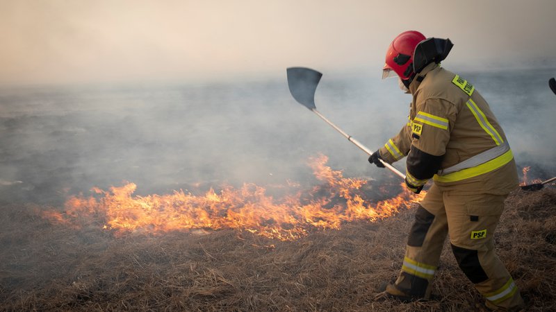Fotografija: Nekaj sto gasilcev poskuša pogasiti obširen požar v narodnem parku Biebrza na Poljskem. FOTO: Grzegorz Dabrowski/Agencja Gazeta via Reuters