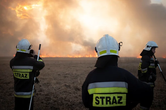 Škoda v naravnem okolju narodnega parka bo ogromna. FOTO: Grzegorz Dabrowski/Agencja Gazeta via Reuters 