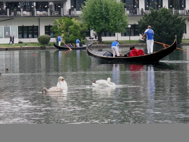 Največji porast brezposelnih se je zgodil v panogi turizma, zlasti gostinstva. FOTO: Janez Kuhar