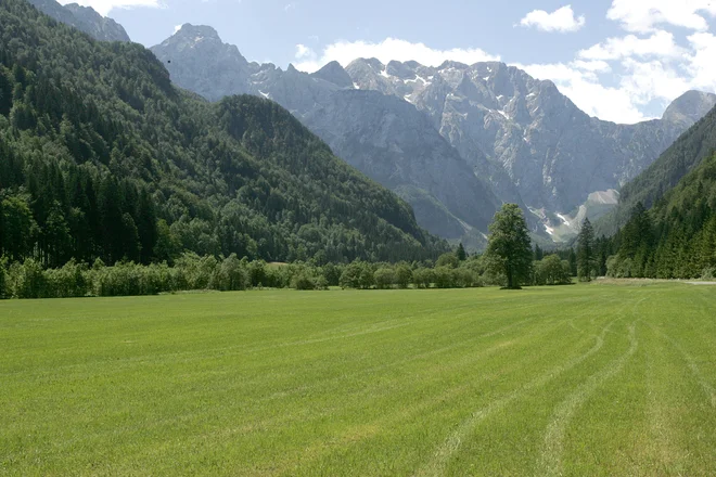»Slovenski turizem je več kot 70-odstotno odvisen od tujih gostov in tudi s takojšnjim odprtjem mej se stvari ne bi hitro obnovile,« je prepričan Počivalšek. FOTO: Mavric Pivk