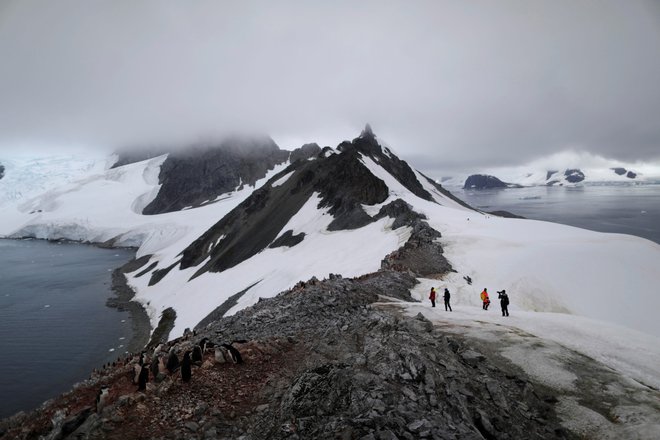 Antarktika, Orne Harbour. Na Antarktiki so letos izmerili najvišjo februarsko temperaturo doslej, 20,75 stopinje Celzija. FOTO: Ueslei Marcelino/Reuters