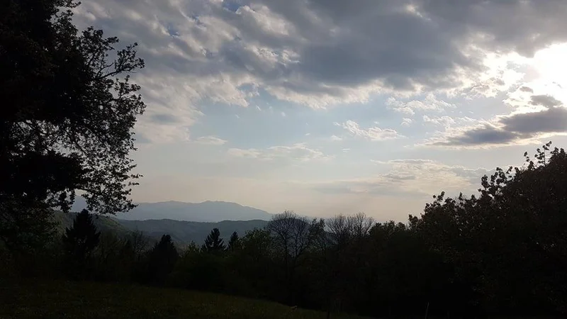 Fotografija: Javor, pogled proti domu. FOTO: Primož Kališnik