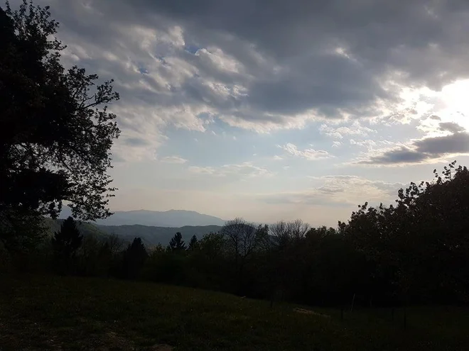 Javor, pogled proti domu. FOTO: Primož Kališnik