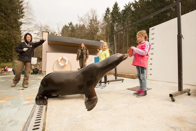 FOTO: ZOO Ljubljana