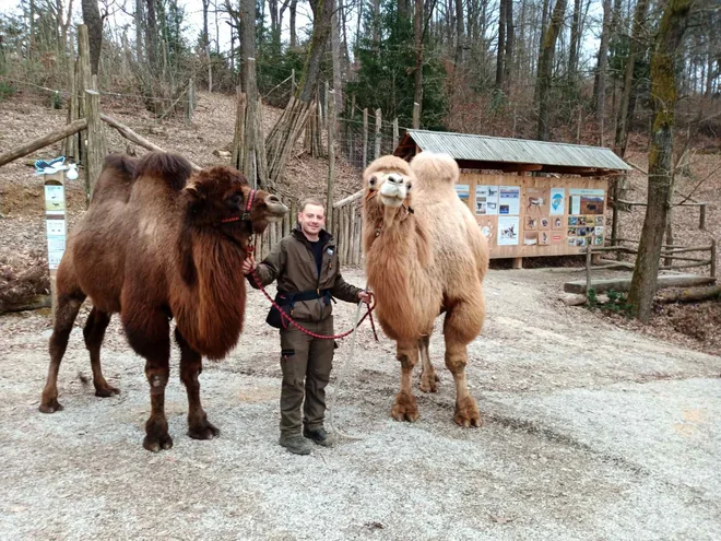 FOTO: ZOO Ljubljana