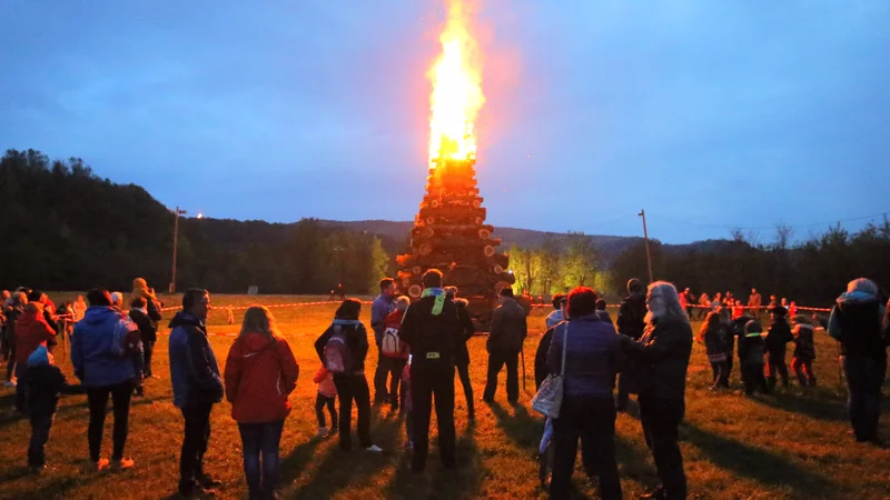 Fotografija: Tudi kresovanja letos odpadejo, dovoljeno pa je postavljanje mlajev, a brez zbiranja okrog njih. FOTO: Jože Suhadolnik