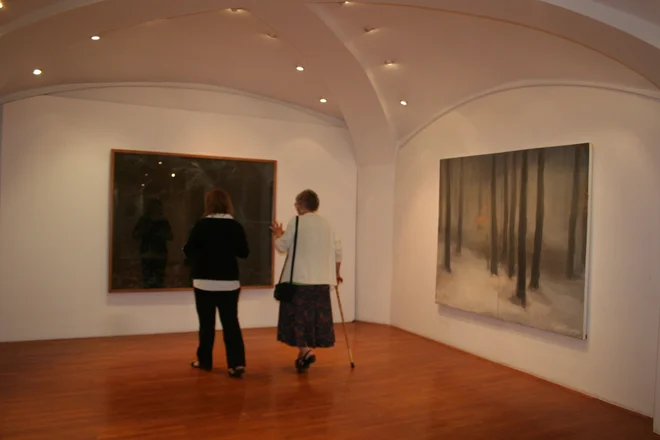 Galerija Miklova hiša je uveljavjen galerijski prostor v slovenskem prostoru. Foto Simona Fajfar