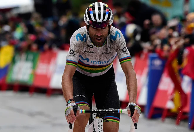 Team Movistar rider Spain's Alejandro Valverde crosses the finish line of the ninth stage of the 2019 La Vuelta cycling tour of Spain, a 94,4 km race from Andorra la Vella to Cortals d'Encamp on September 1, 2019 in Els Cortals. (Photo by JOSE JORDAN / AF