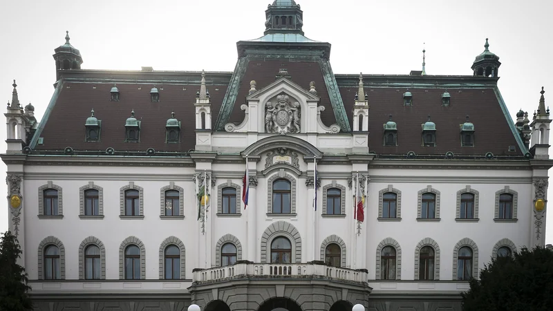 Fotografija: Univerza v Ljubljani FOTO: Jože Suhadolnik