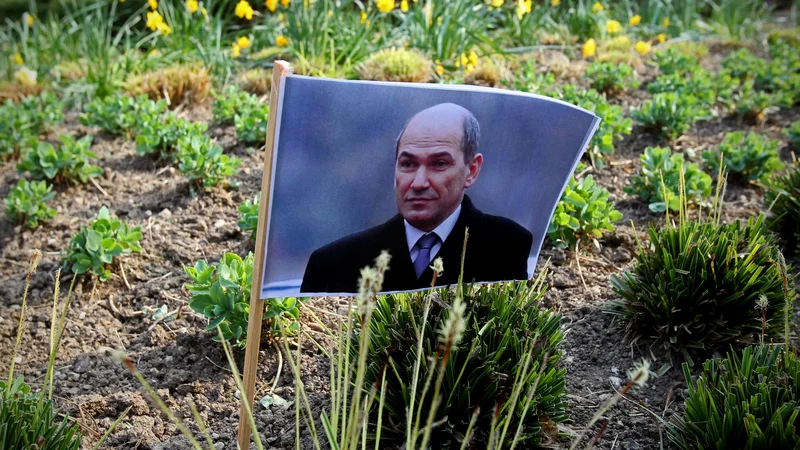 Fotografija: FOTO: Blaž Samec/Delo