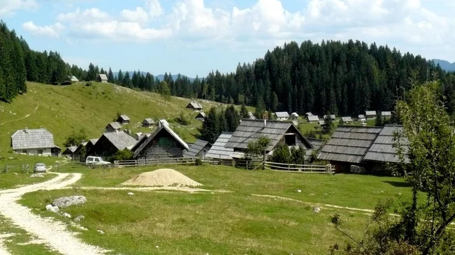 Pokljuka je kolesarski raj. FOTO: Arhiv Poleta
