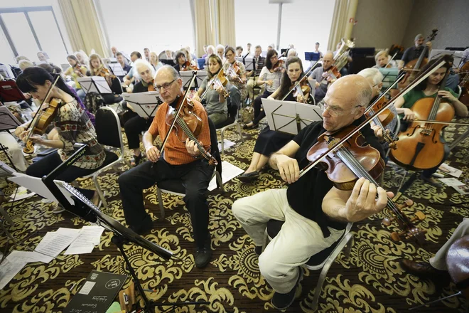 Evropski zdravniški orkester. FOTO: Jože Suhadolnik/Delo