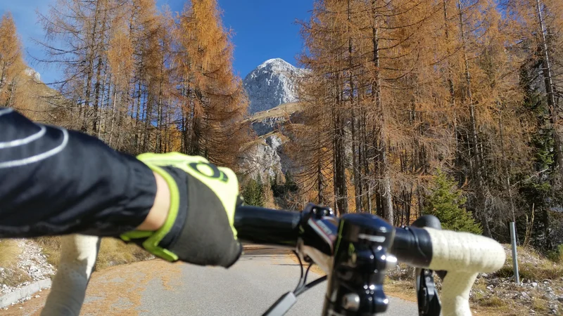 Fotografija: Razgibane slovenske pokrajine s številnimi naravnimi lepotami so idealna izbira za kolesarske izlete. FOTO: Špela Javornik/Delo