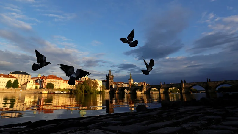 Fotografija: Na webinarjih, spletnih delavnicah itd. so dejansko prisotni tisti, ki jih tematika resnično zanima, ni pa tistih, ki hodijo na tovrstne dogodke prvenstveno zato, da so vidni. FOTO: Reuters