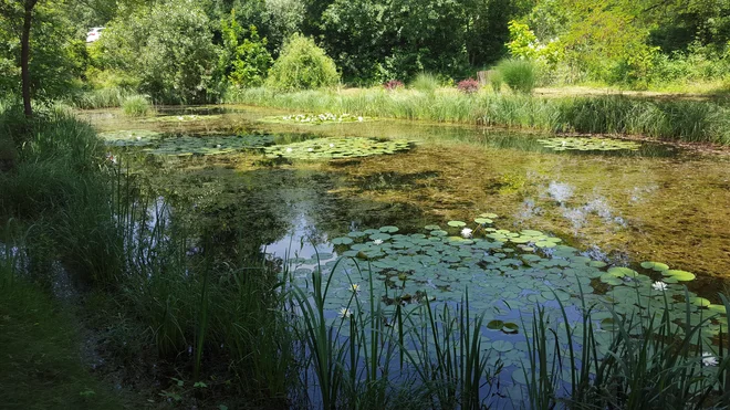 Če je vode veliko, se napolnijo tudi nekdanje gramoznice in mrtvice. FOTO: Borut Tavčar