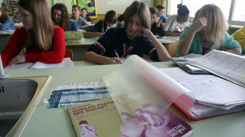 Fotografija: FOTO: Tadej Regent/Delo