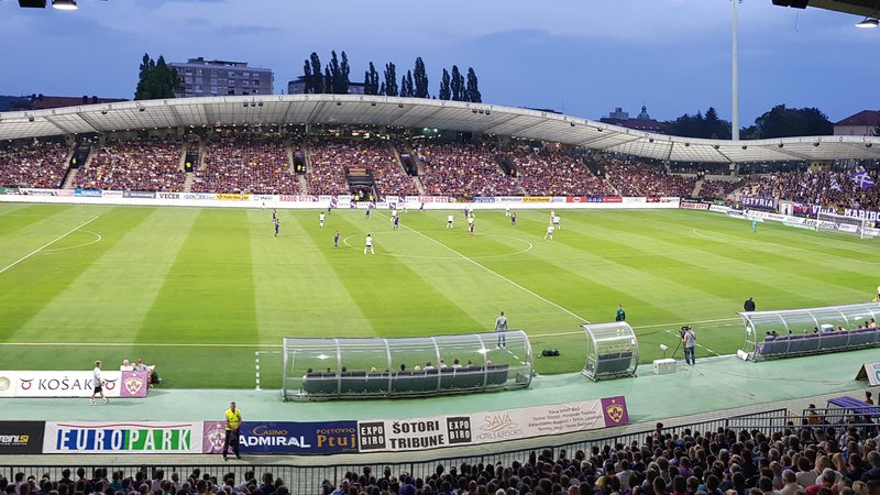 Fotografija: V Ljudskem vrtu se je zbralo dobrih 10.000 privržencev nogometašev Maribora. FOTO: Jernej Suhadolnik