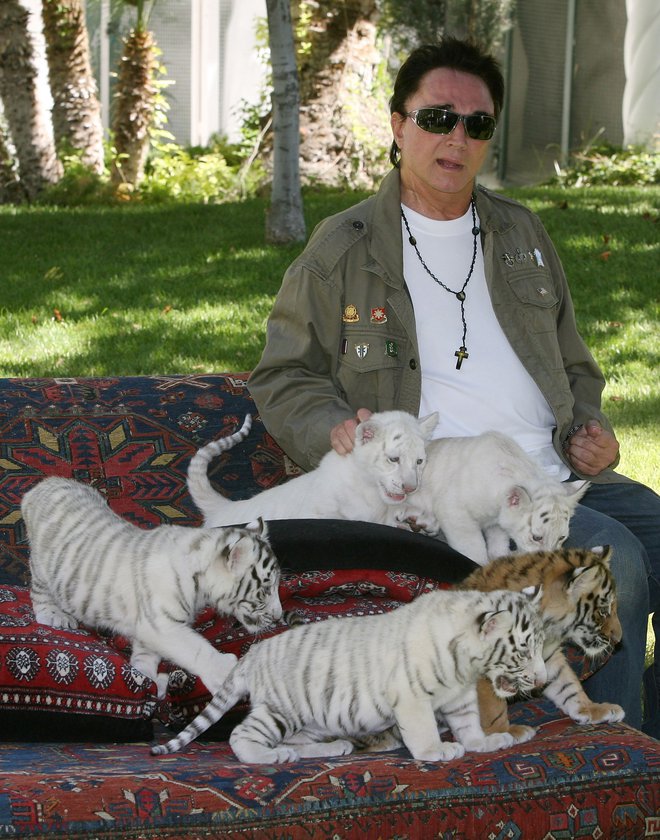 Roy Horn v družbi mladih tigrov tri leta po napadu belega tigra. FOTO: Afp