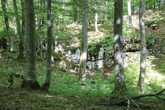 Vrtača, kjer je bilo skrivališče bolnice Bobovec.