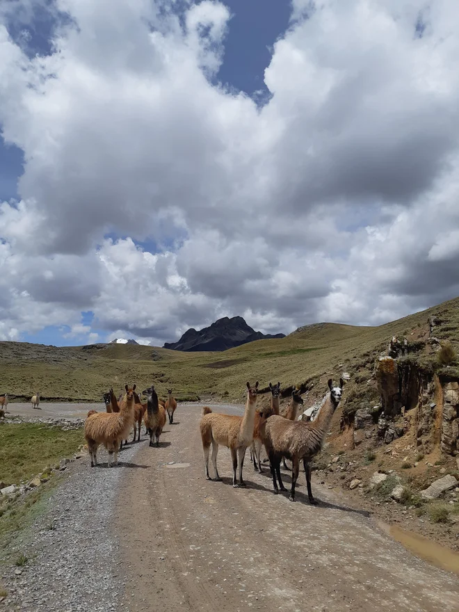 Podobe z bikepacking trase Peru Great Divide FOTO: osebni arhiv