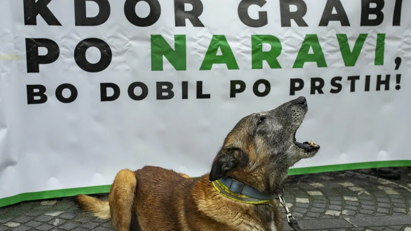 Fotografija: Glas za naravo so oddali tudi pasji ljubljenci. FOTO: Voranc Vogel