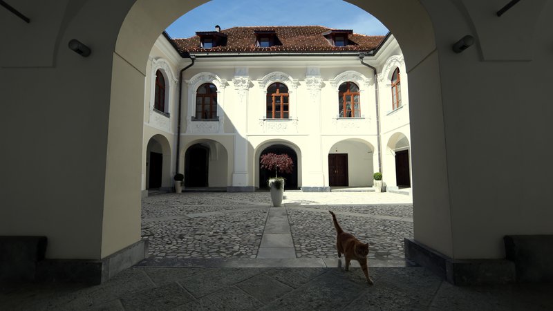 Fotografija: Dvorec Goričane, ki je več let propadal, je leta 2007 z denacionalizacijo prešel v last ljubljanske nadškofije. Foto Uroš Hočevar