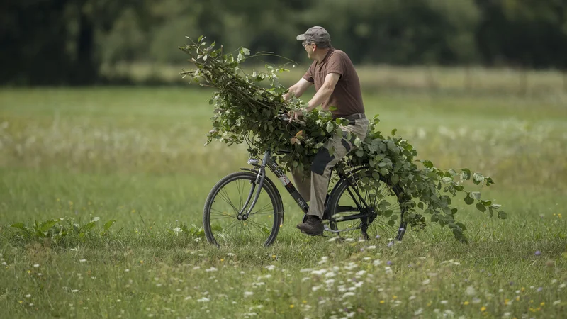 Fotografija: Z naravo delimo  moč svojega imunskega sistema in tudi svojo odpornost pred silami in mikrobi, ki skrbijo za recikliranje narave.Foto Leon Vidic