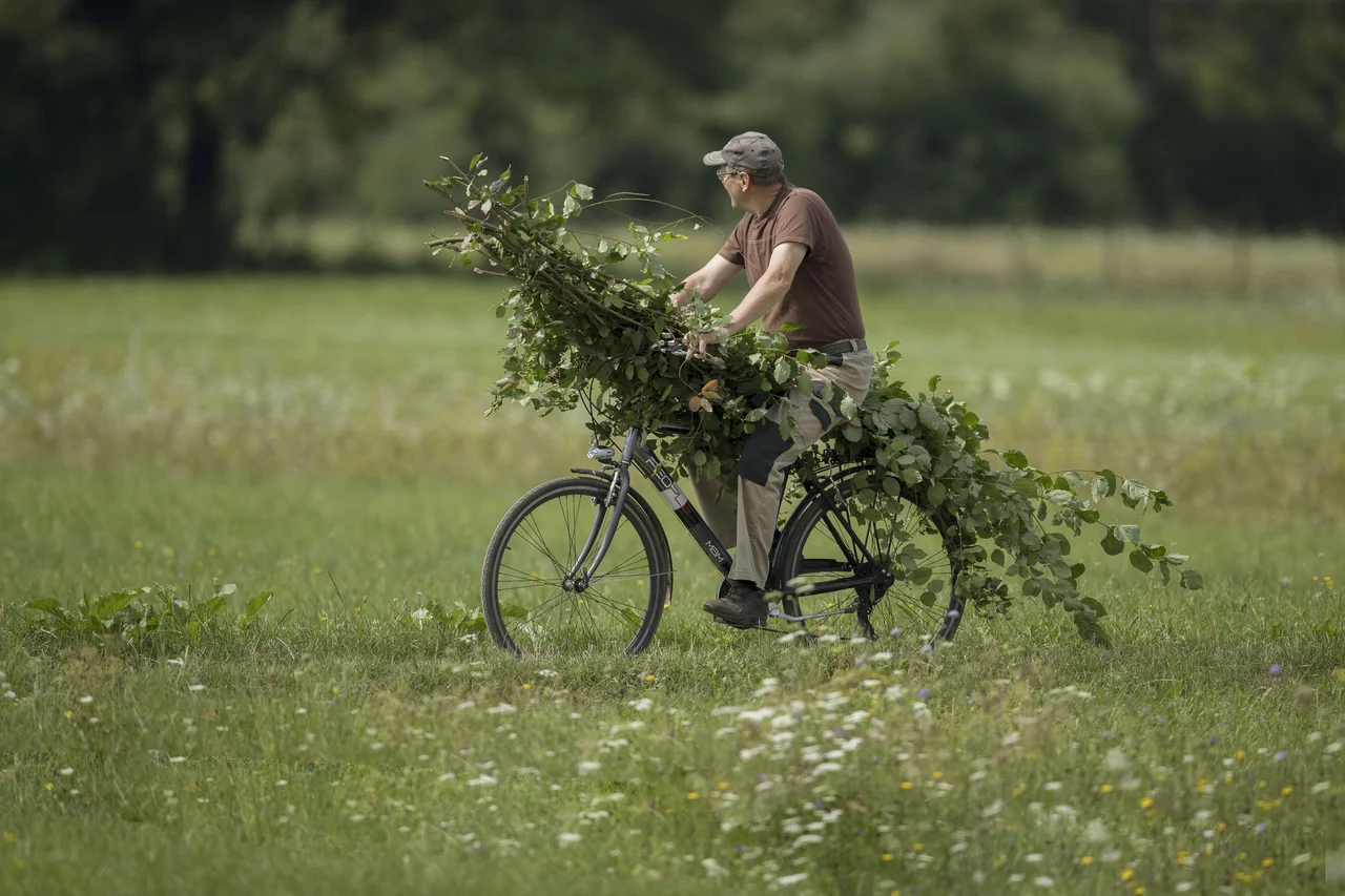 Fotografija: Z naravo delimo moč svojega imunskega sistema in tudi svojo odpornost pred silami in mikrobi, ki skrbijo za recikliranje narave.Foto Leon Vidic