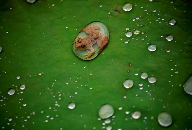 FOTO: Reuters