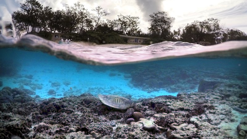 Fotografija: Zaradi globalnega segrevanja utegnejo biti koralni grebeni prvi veliki ekosistem v modernem obdobju, ki bo izumrl. Ob nadaljevanju trenutnih trendov izpustov toplogrednih plinov se bo to zgodilo v približno petdesetih letih. FOTO: Reuters