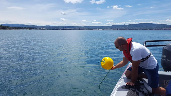 Tako so položili označevalne plovke pred plažo Mladinskega zdravilišča RKS Debeli rtič.
