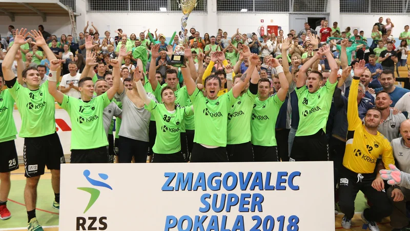 Domači rokometaši so uprizorili prvovrstno presenečenje. FOTO: Tomi Lombar/Delo