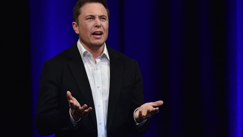 Fotografija: Elon Musk meni, da je tožba neupravičena. FOTO: Peter Parks/AFP