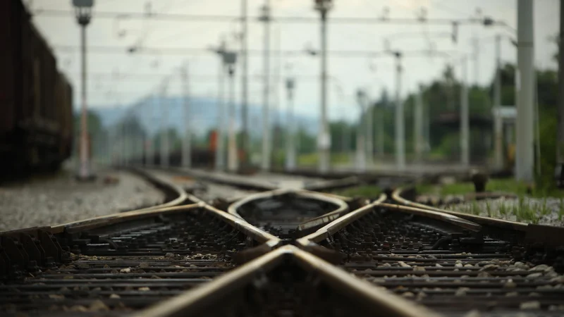 Fotografija: Foto Jure Eržen
