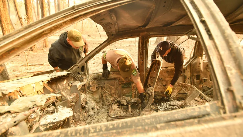 Fotografija: Umrlo je 31 oseb. FOTO: Josh Edelson/AFP