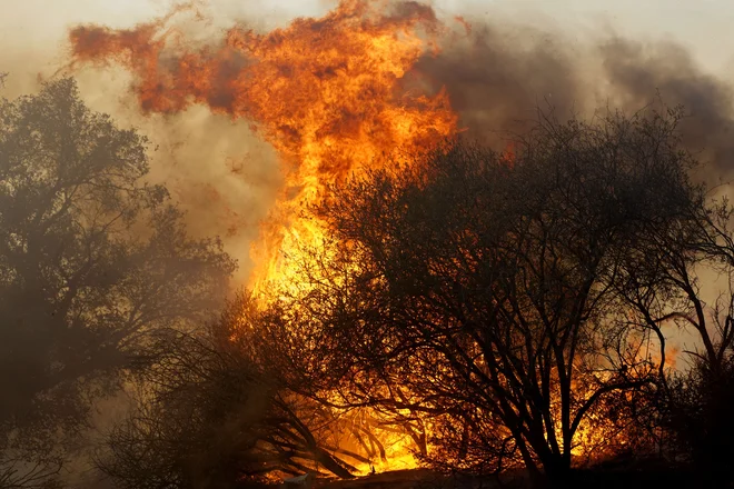 Veter naj bi se znova okrepil. FOTO: Sandy Huffaker/AFP