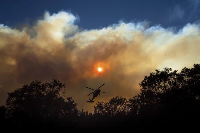 S požari se že več dni bori več tisoč gasilcev. FOTO: Noah Berger/AP