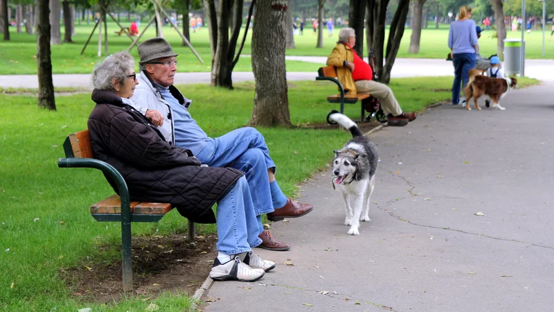 Fotografija: Večina Dunajčanov si želi čim dlje prejemati nego in oskrbo na svojem domu, pa naj gre za najemniško ali lastno nepremičnino. FOTO: Shutterstock