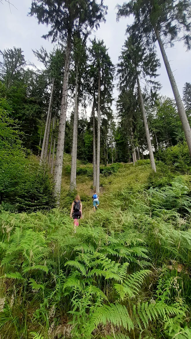 Moti se tisti, ki misli, da pot do morja vodi samo navzdol. Še zlasti če jo človek začne med gorenjskimi hrib(čk)i ... Foto osebni arhiv Petre Vladimirov