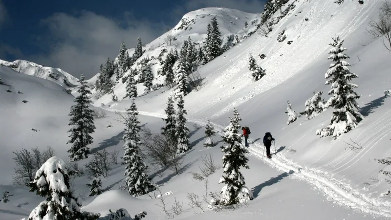 Fotografija: Julijske Alpe pod snežno odejo. FOTO: Manca Ogrin