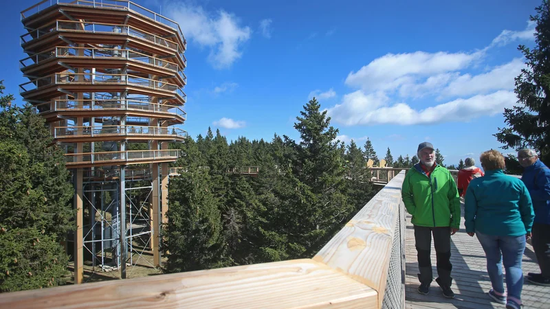 Fotografija: Rogla ni samo smučanje, je tudi nova atrakcija Pot med krošnjami nad njo in Terme Zreče v dolini. FOTO: Tadej Regent