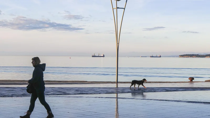 Fotografija: Morda smo izgubili tisto največ, stik z odprtim morjem. FOTO: Jože Suhadolnik/Delo